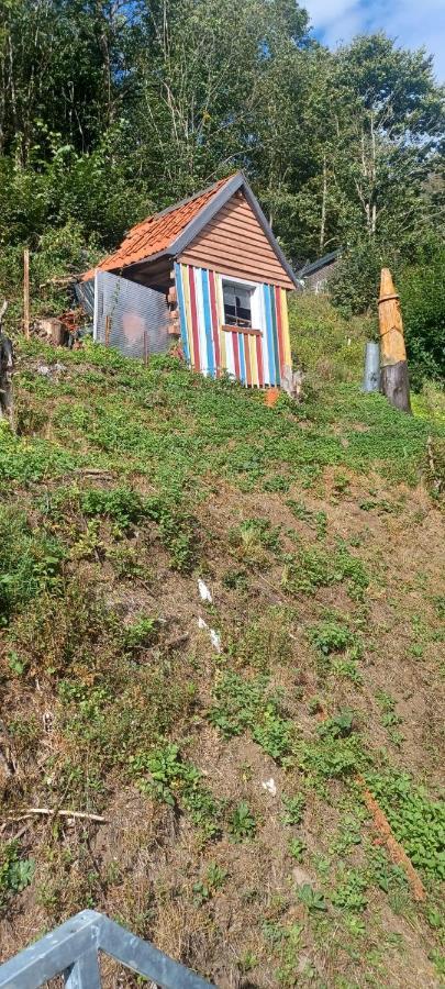 Appartamento Haus Auf Den Oberen Hexenstieg Osterode am Harz Esterno foto